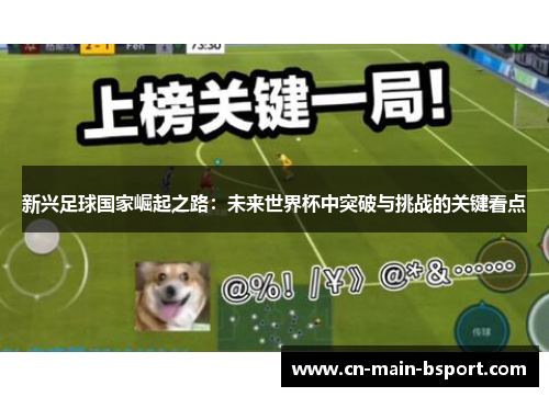 新兴足球国家崛起之路：未来世界杯中突破与挑战的关键看点