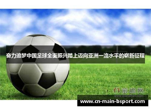 奋力追梦中国足球全面振兴踏上迈向亚洲一流水平的崭新征程 奋力追梦中国足球全面振兴踏上迈向亚洲一流水平的崭新征程