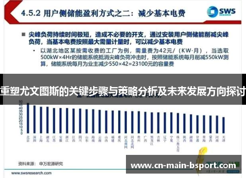 重塑尤文图斯的关键步骤与策略分析及未来发展方向探讨 重塑尤文图斯的关键步骤与策略分析及未来发展方向探讨