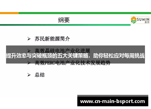 提升效率与突破瓶颈的五大关键策略，助你轻松应对每周挑战