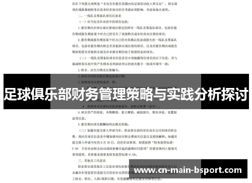 足球俱乐部财务管理策略与实践分析探讨